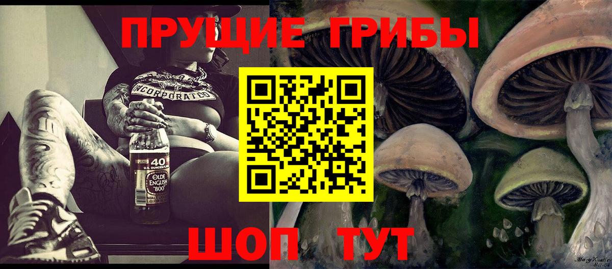 Галлюциногенные грибы Psilocybe  Урай 