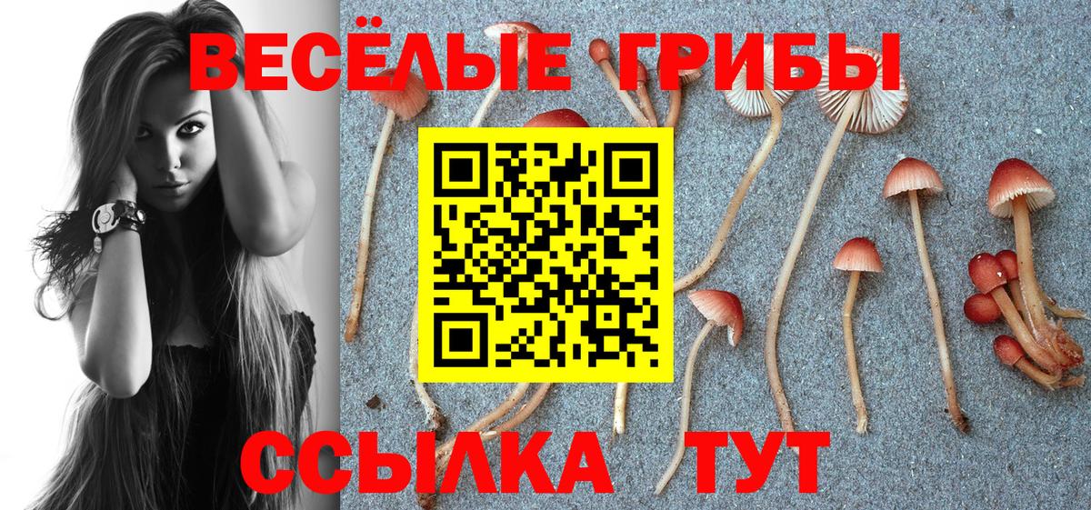 Псилоцибиновые грибы ЛСД  Вход с VPN  Урай  Галлюциногенные грибы MAGIC MUSHROOMS 
