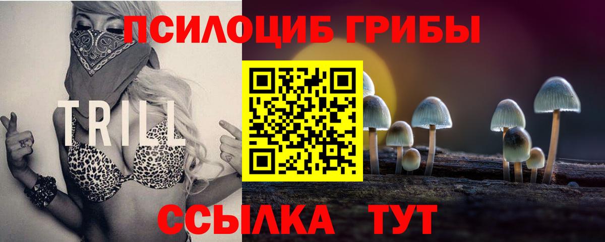 Псилоцибиновые грибы Cubensis Урай